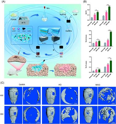 Injectable MXene/Ag-HA composite hydrogel for enhanced alveolar bone healing and mechanistic study